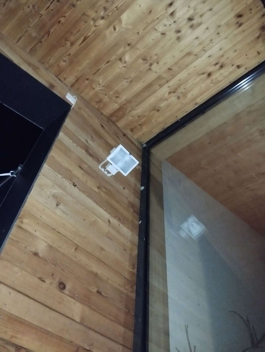 wespennest_entfernen