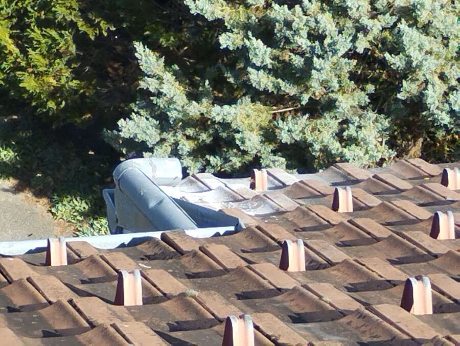 wespennest_entfernen