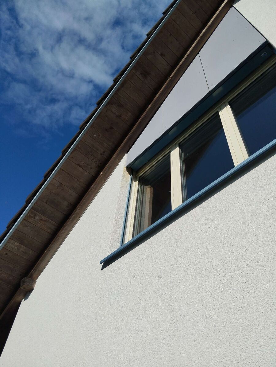 wespennest_entfernen