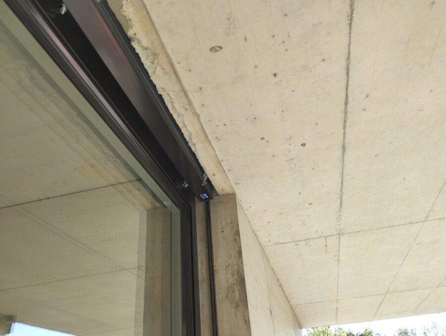 wespennest_entfernen