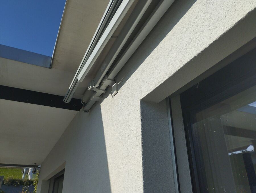 wespennest_entfernen