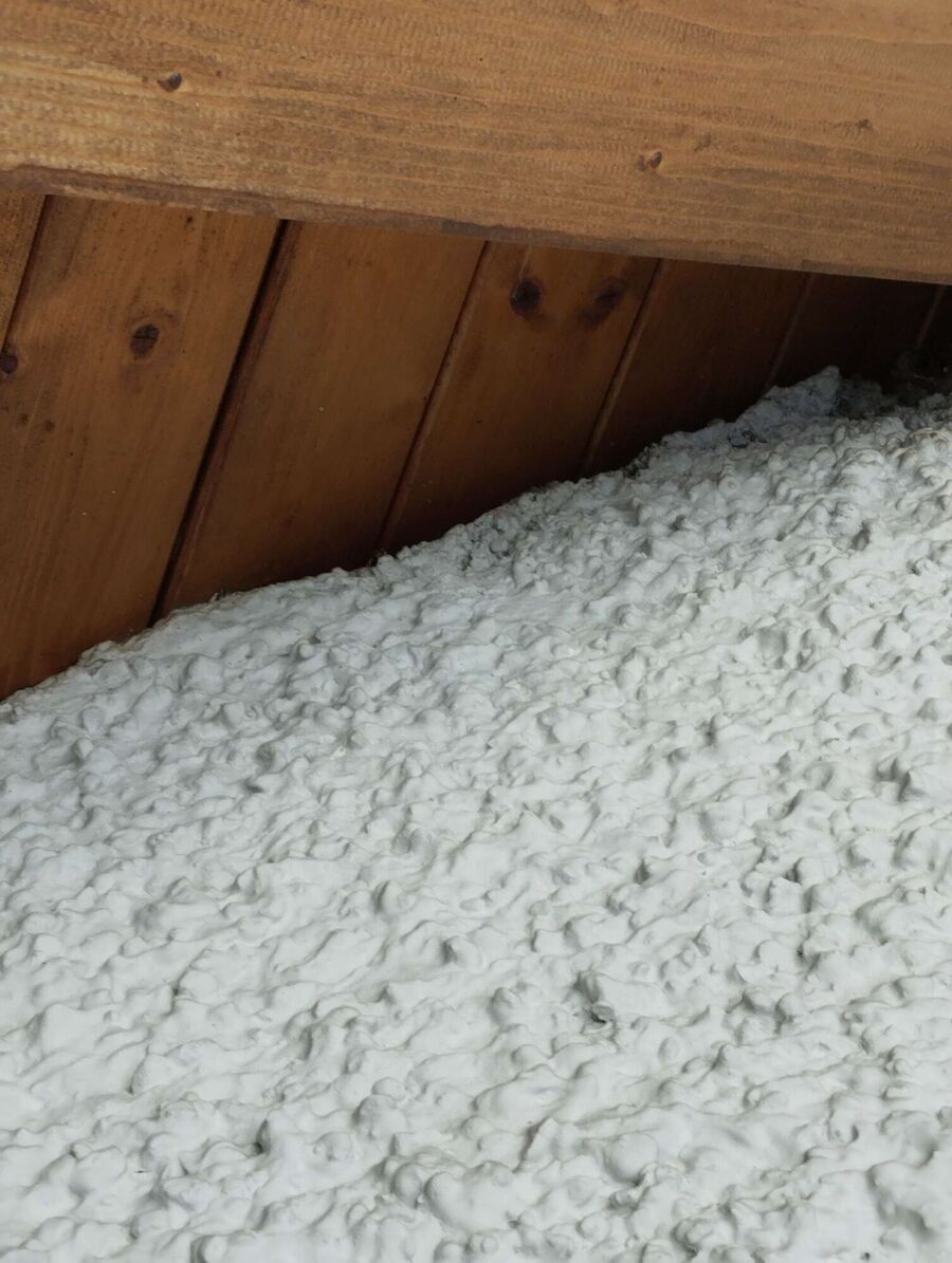 wespennest_entfernen