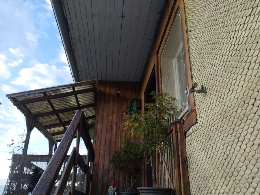 wespennest_entfernen