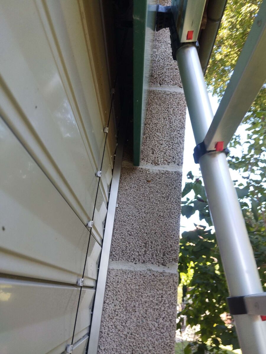 wespennest_entfernen