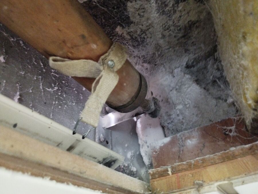 wespennest_entfernen