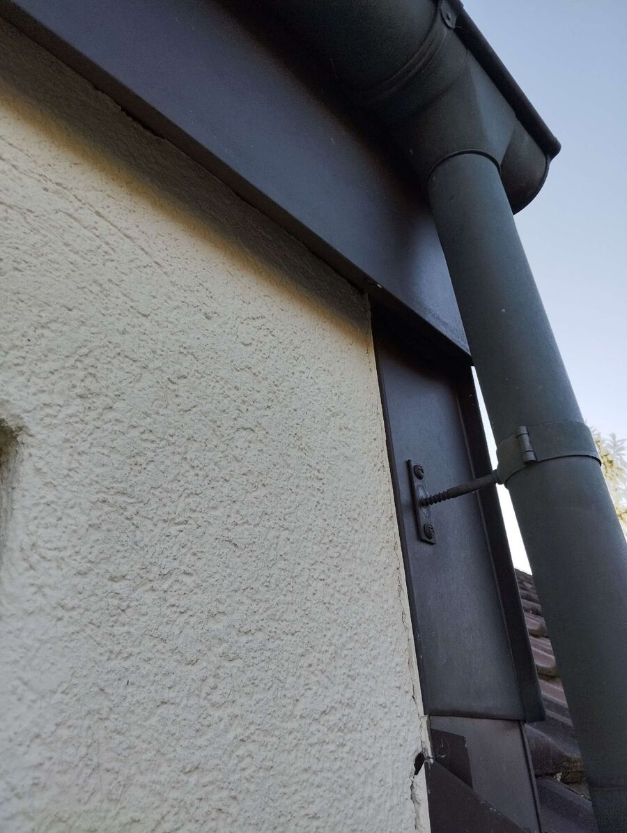 wespennest_entfernen