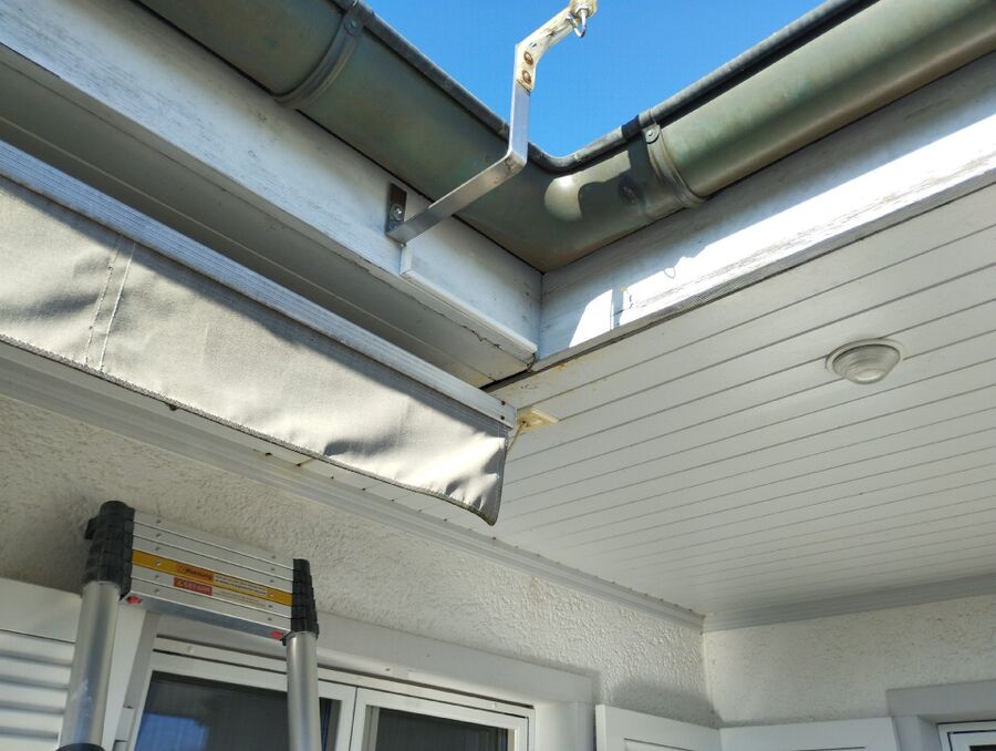 wespennest_entfernen