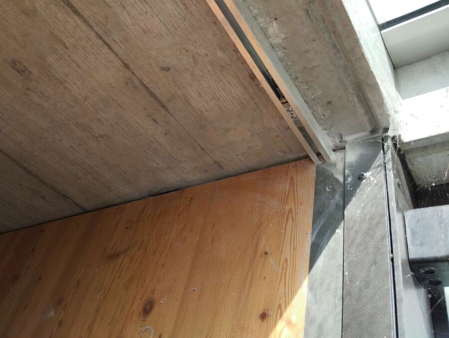 wespennest_entfernen