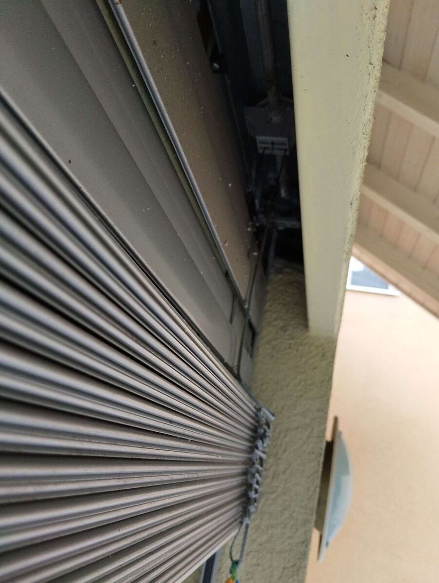 wespennest_entfernen