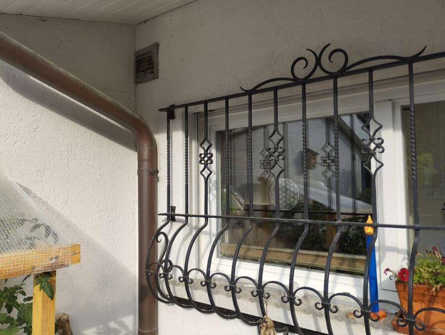 wespennest_entfernen