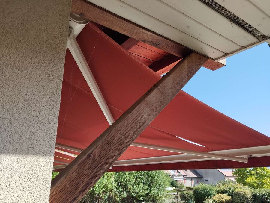 wespennest_entfernen