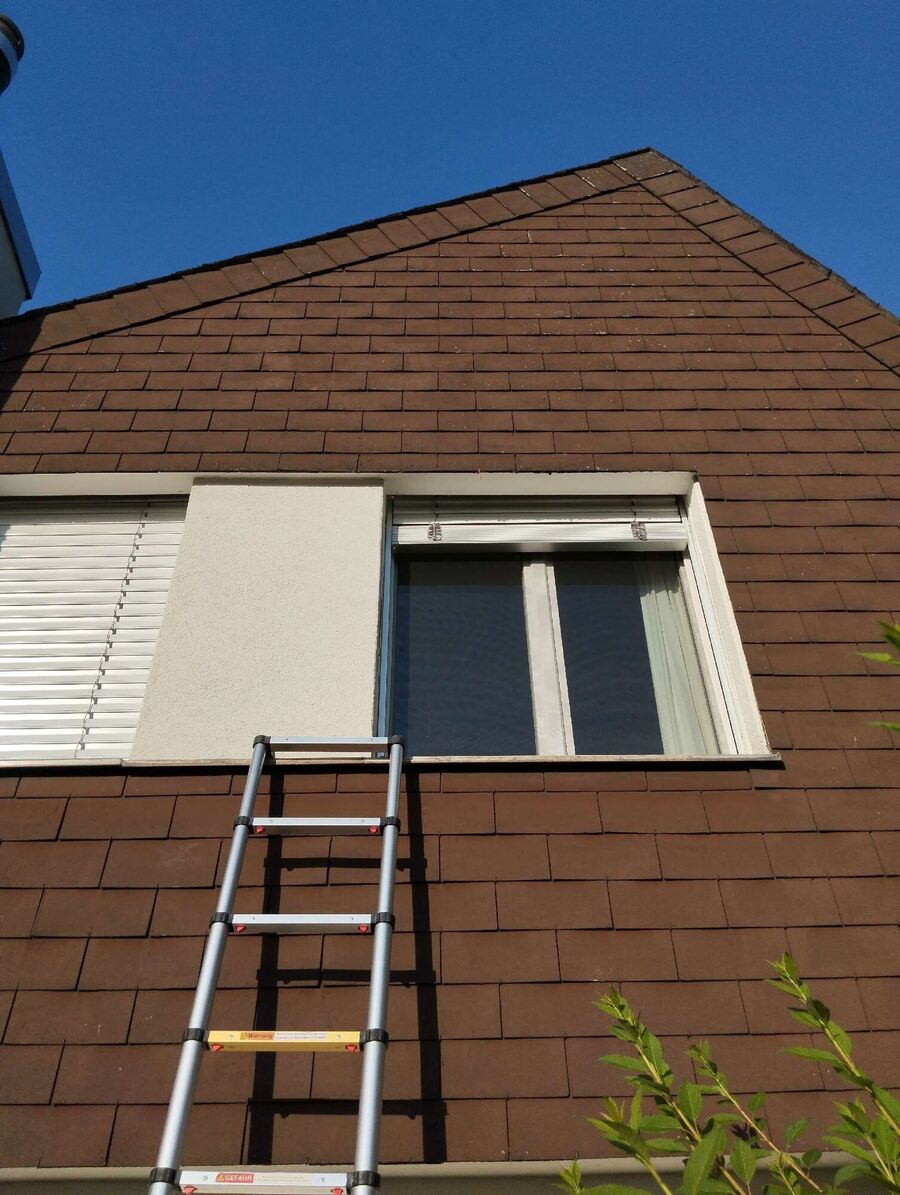 wespennest_entfernen