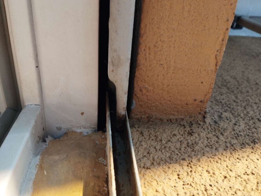 wespennest_entfernen