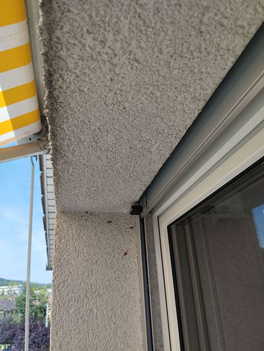 wespennest_entfernen