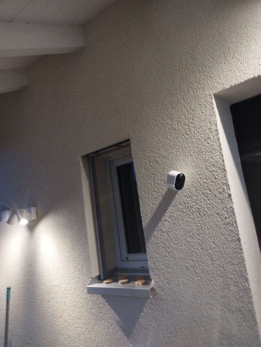 wespennest_entfernen