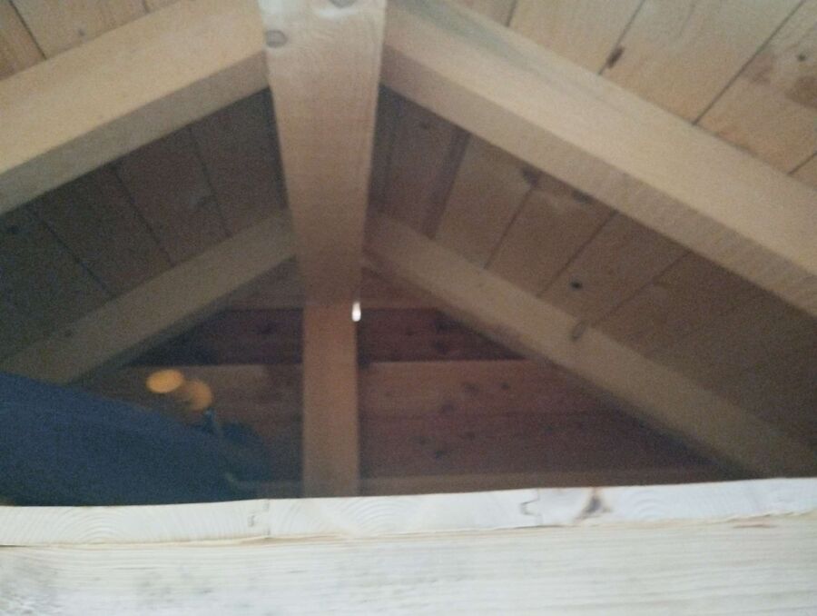 wespennest_entfernen