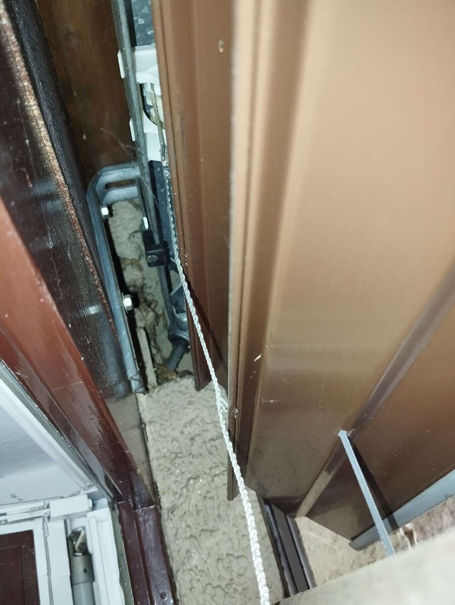 wespennest_entfernen