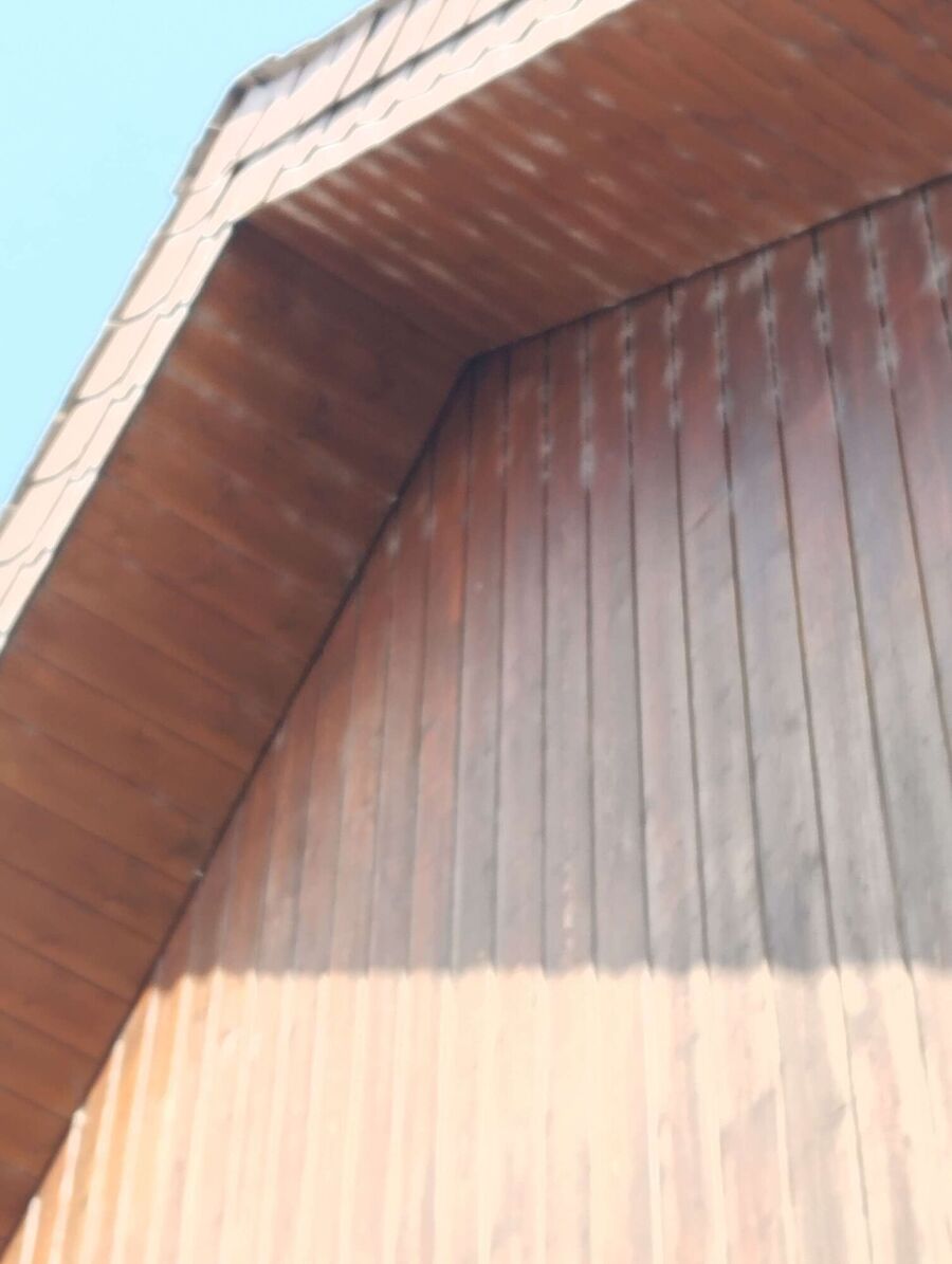 wespennest_entfernen