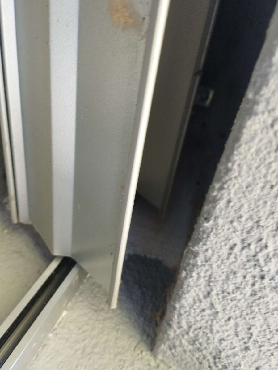 wespennest_entfernen