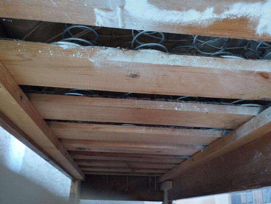 wespennest_entfernen