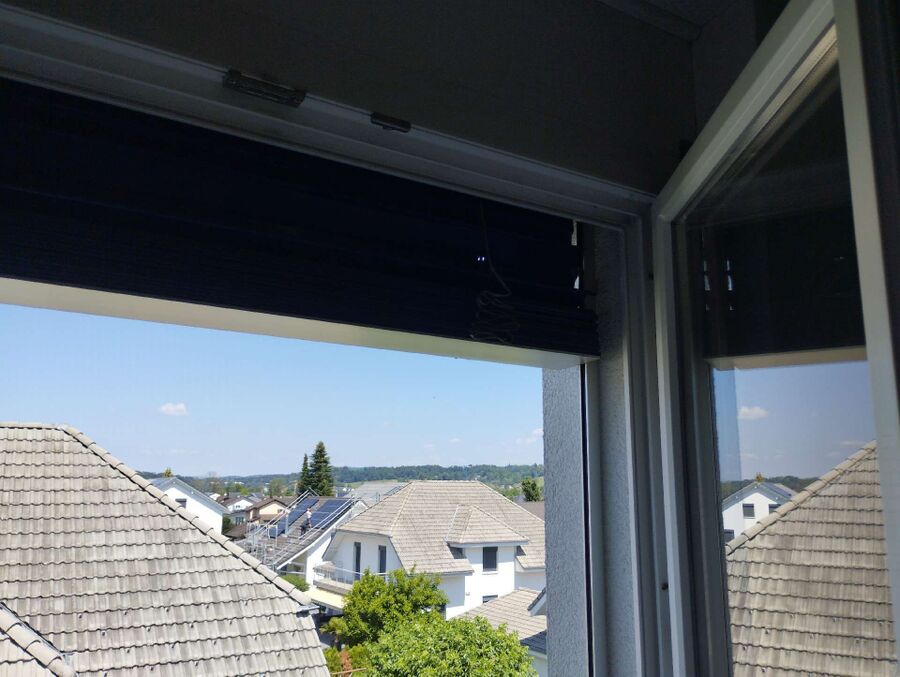 wespennest_entfernen