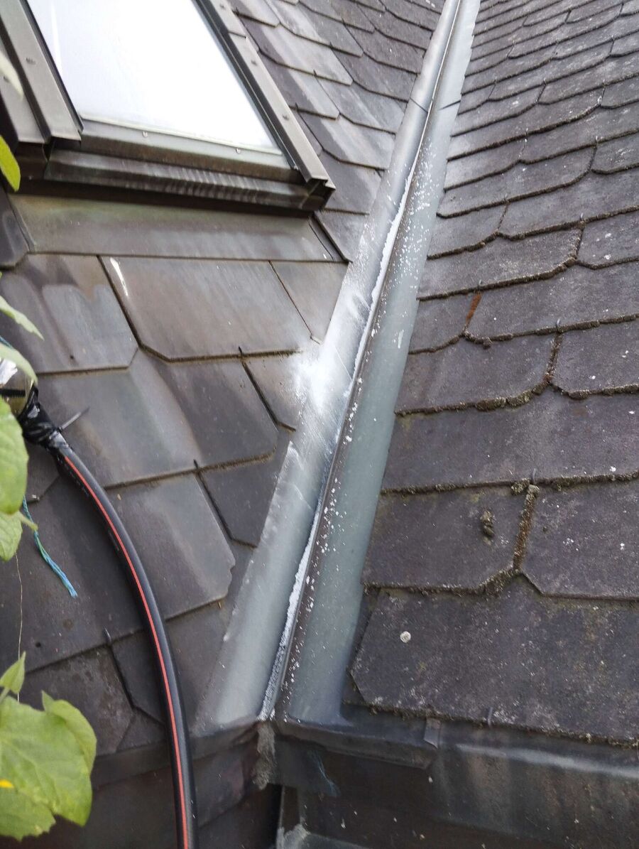 wespennest_entfernen