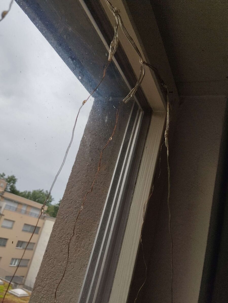 wespennest_entfernen