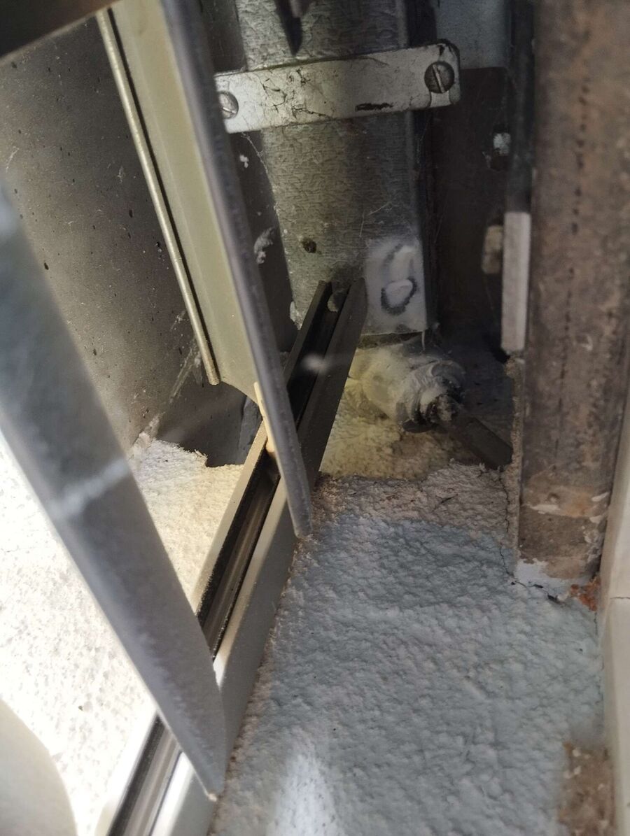 wespennest_entfernen