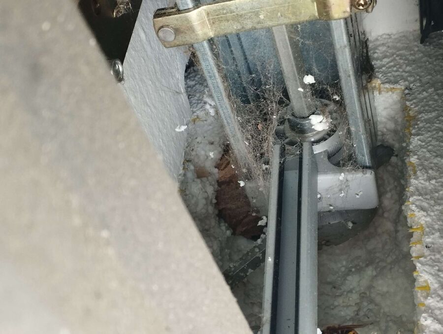 wespennest_entfernen