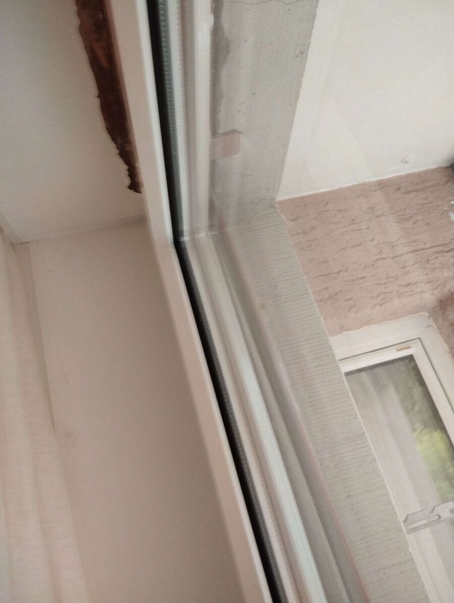 wespennest_entfernen