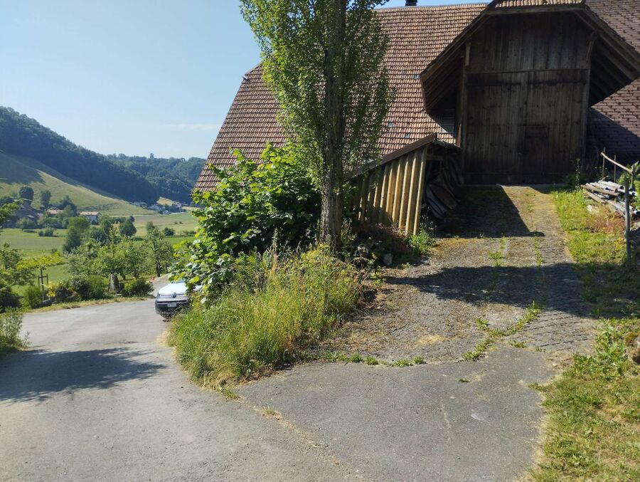 wespennest_entfernen