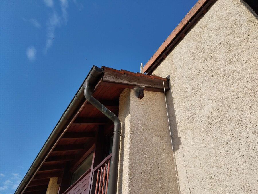 wespennest_entfernen