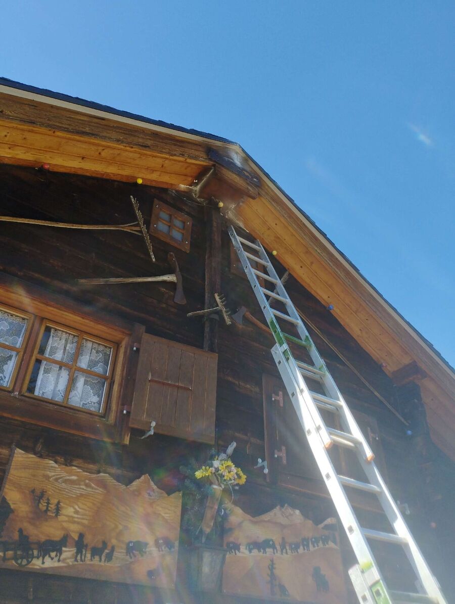 wespennest_entfernen