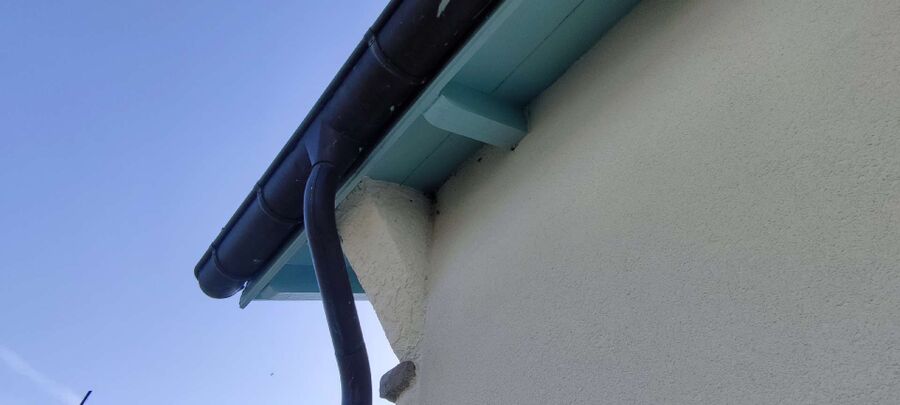 wespennest_entfernen