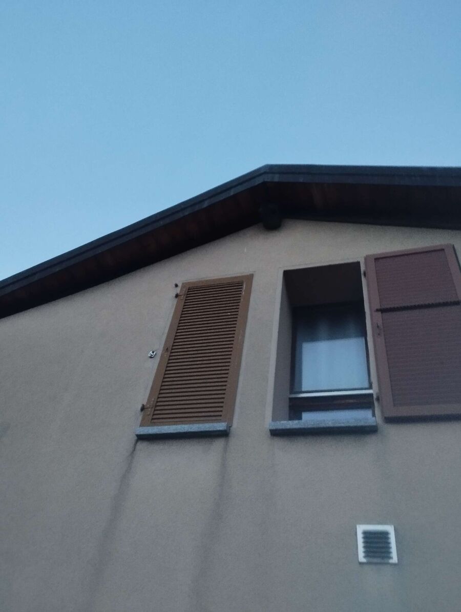 wespennest_entfernen