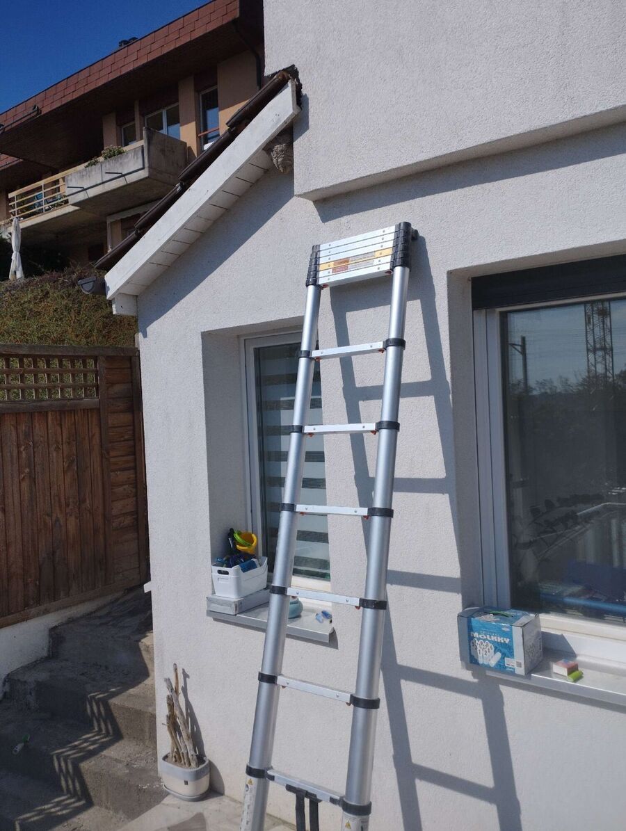 wespennest_entfernen