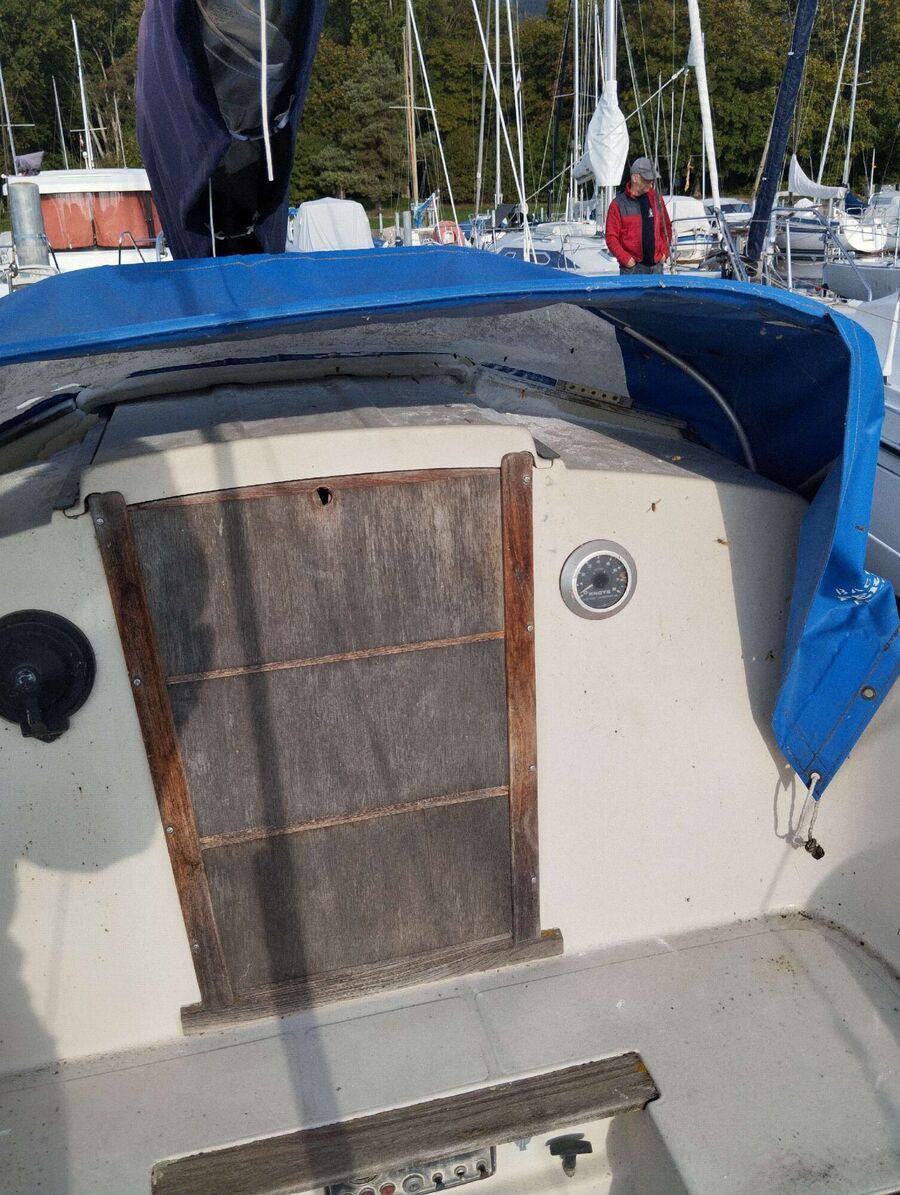 wespennest_entfernen