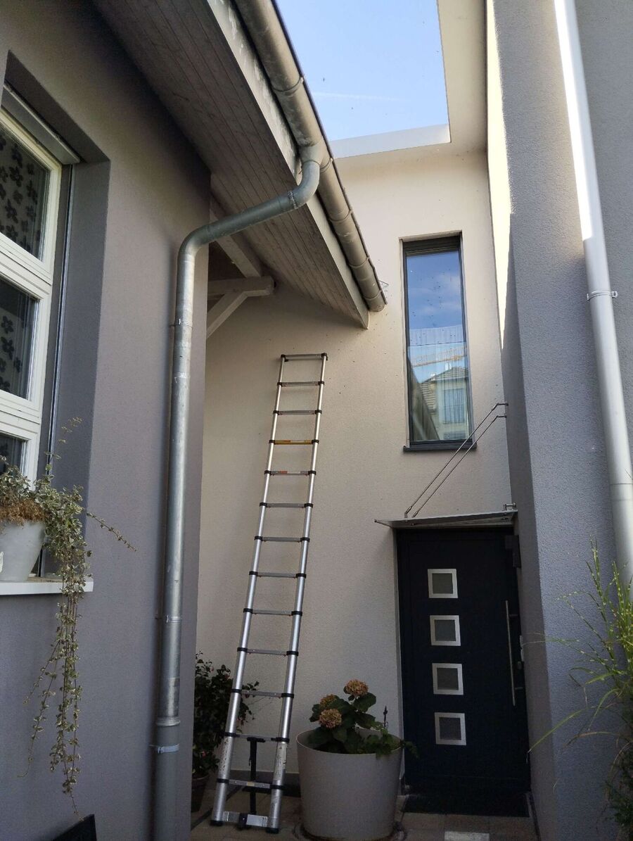 wespennest_entfernen