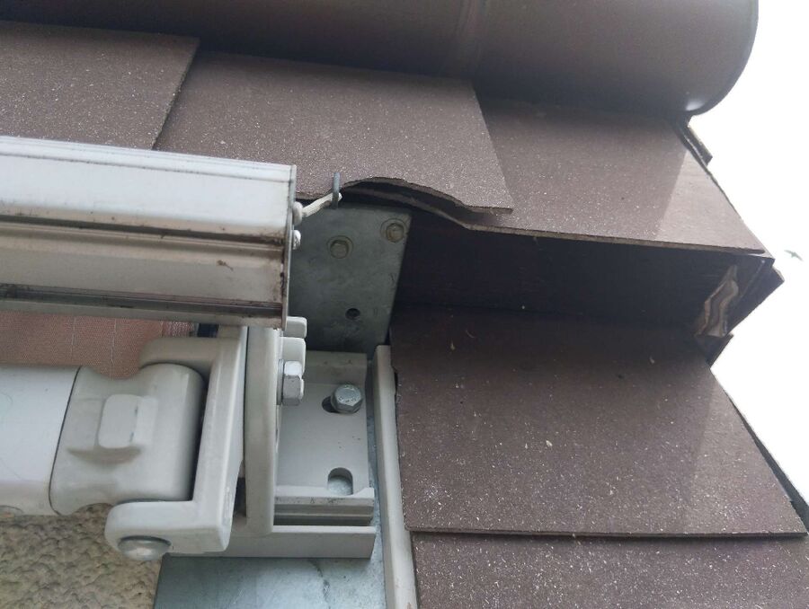 wespennest_entfernen