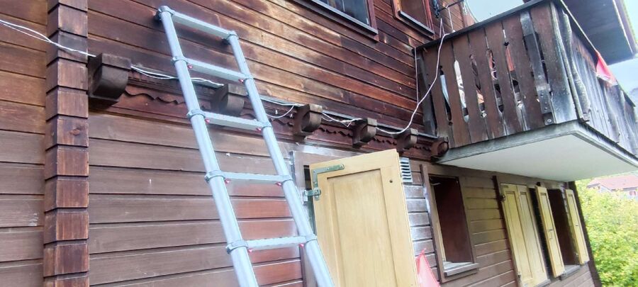 wespennest_entfernen