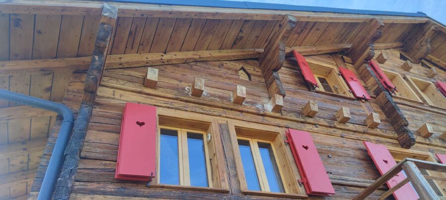 wespennest_entfernen