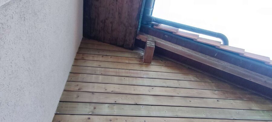 wespennest_entfernen