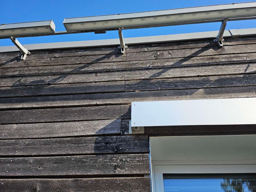 wespennest_entfernen