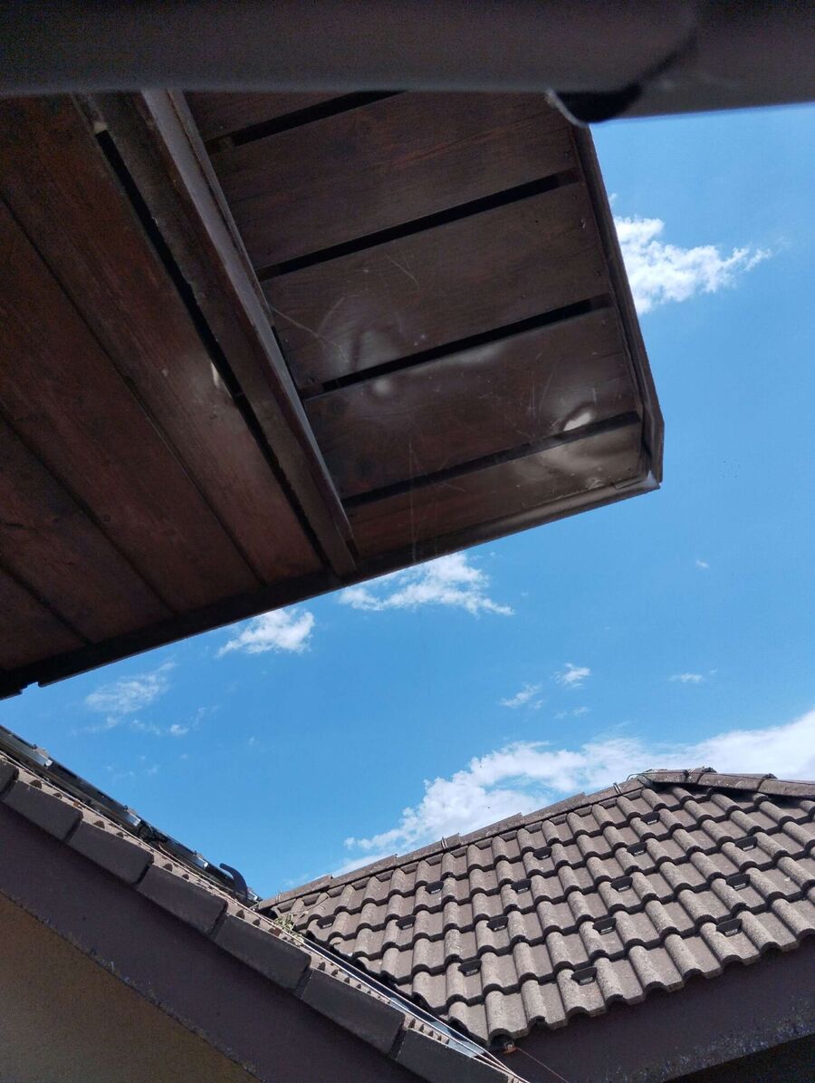 wespennest_entfernen