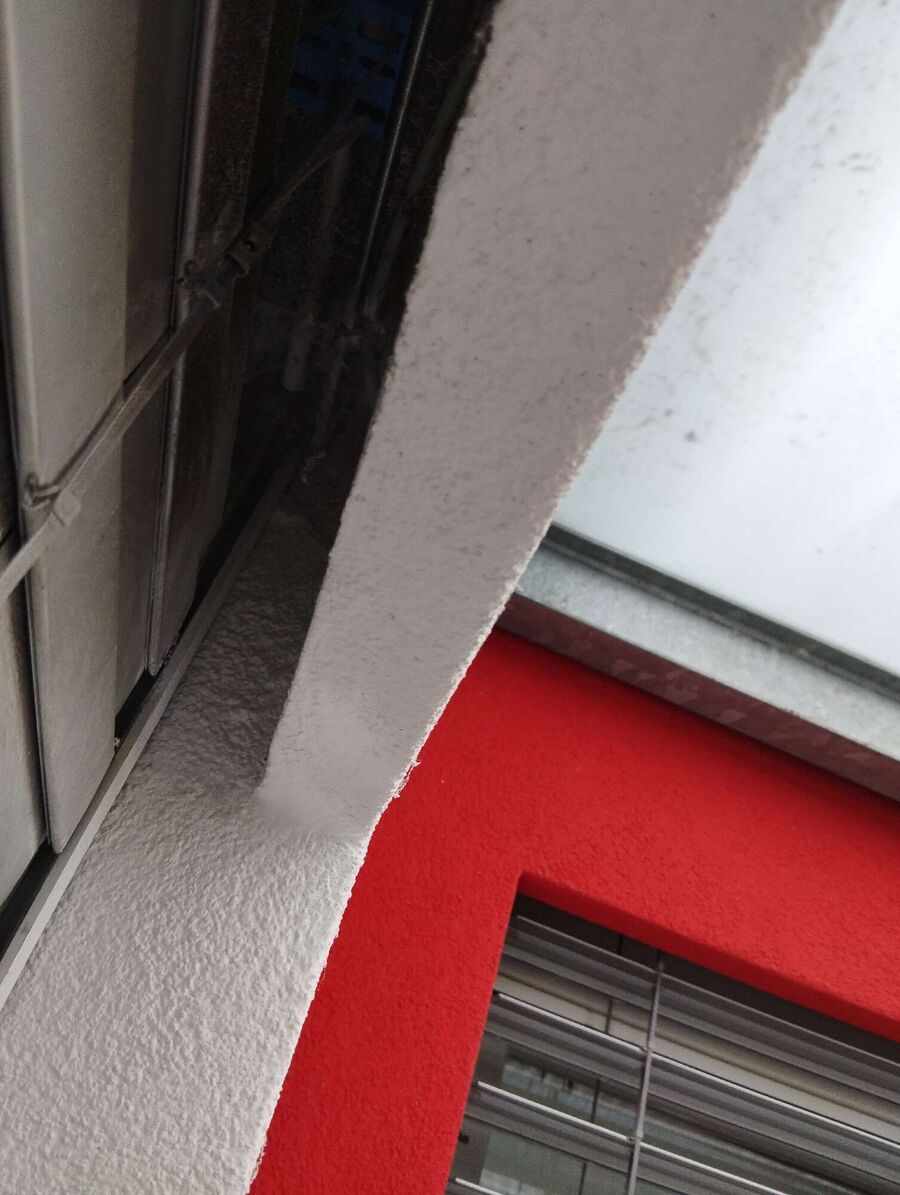 wespennest_entfernen