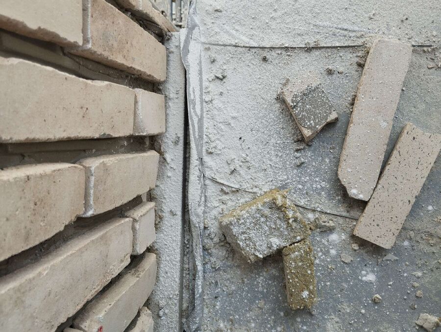 wespennest_entfernen