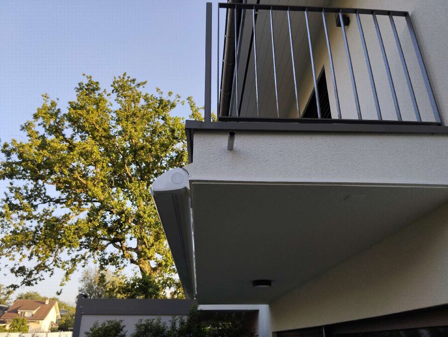 wespennest_entfernen