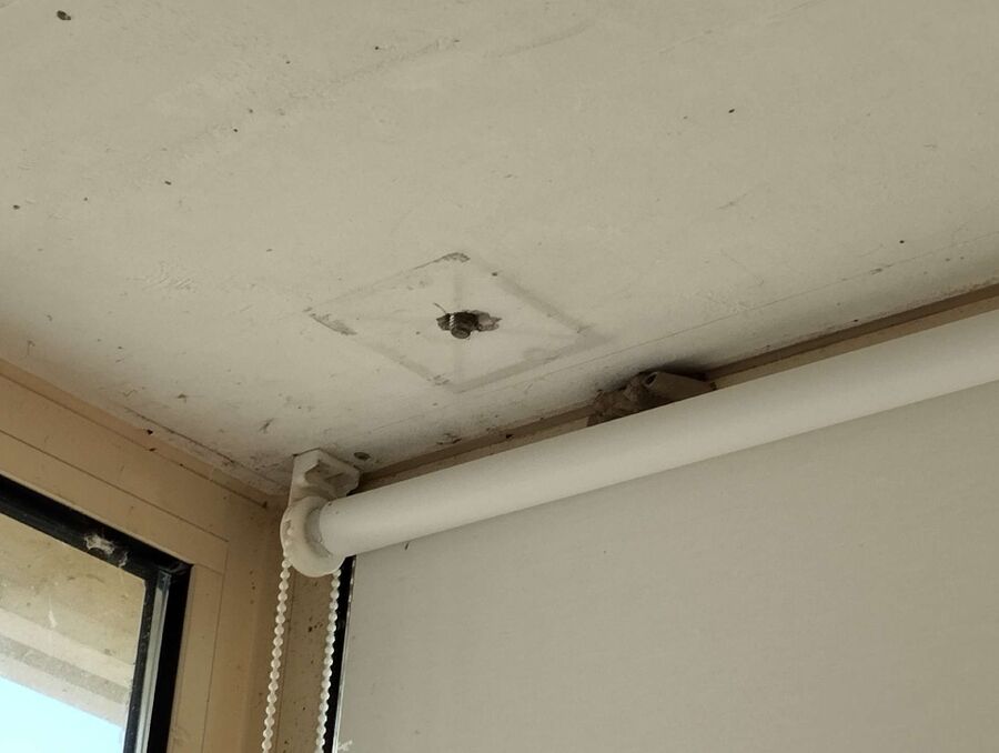 wespennest_entfernen