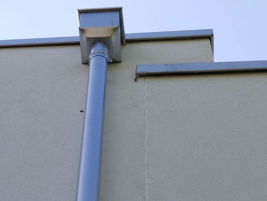 wespennest_entfernen