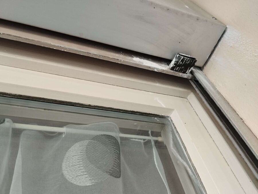 wespennest_entfernen